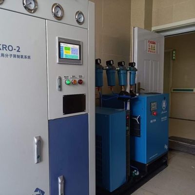 380V из нержавеющей стали 40 GP Контейнер Малый на месте PSA на основе кислорода